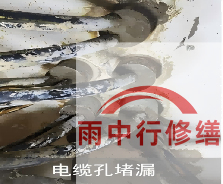 浦东电缆线空洞堵漏加固案例